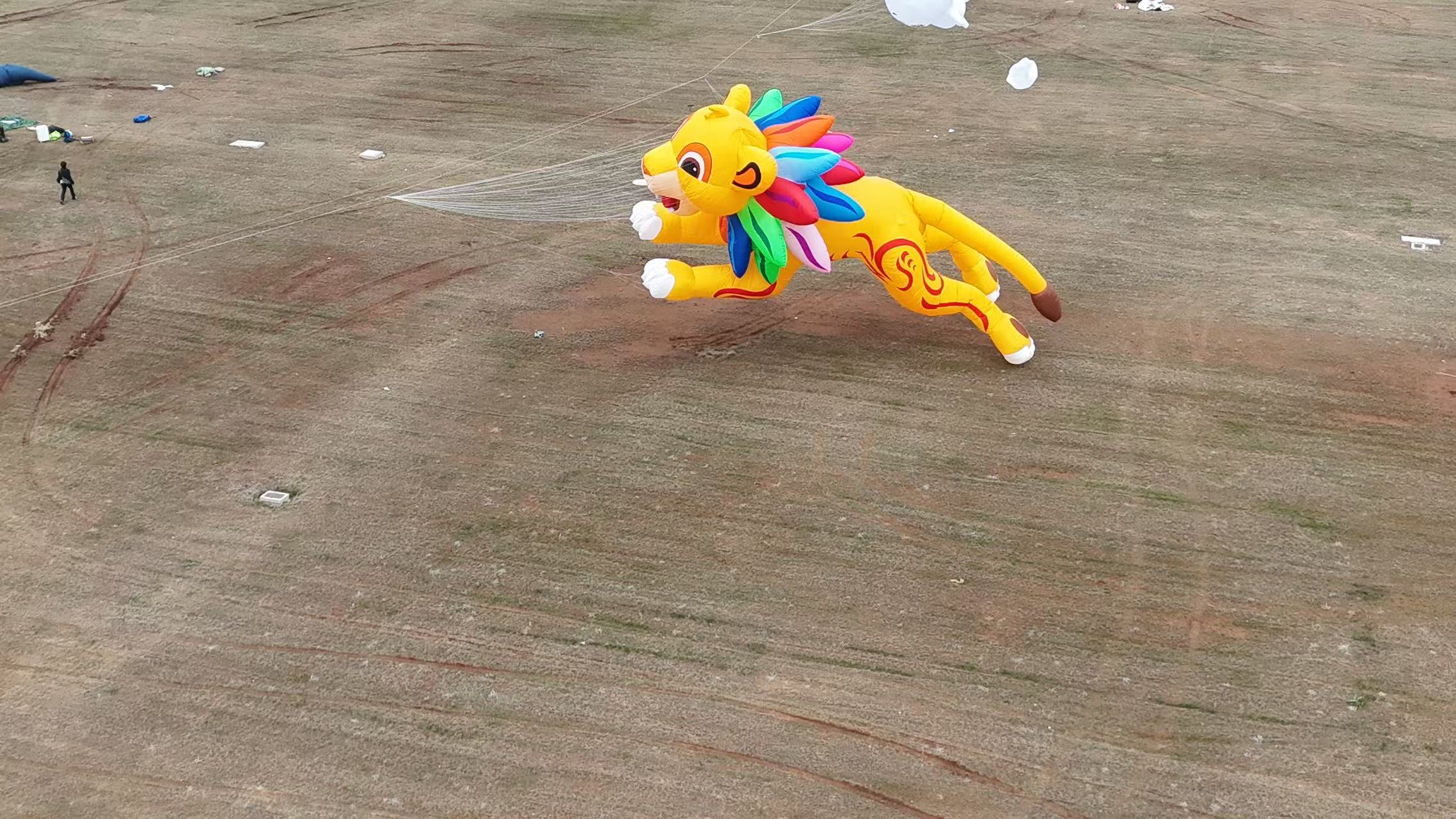 普洱市品牌风筝定制风筝定制 - 价格